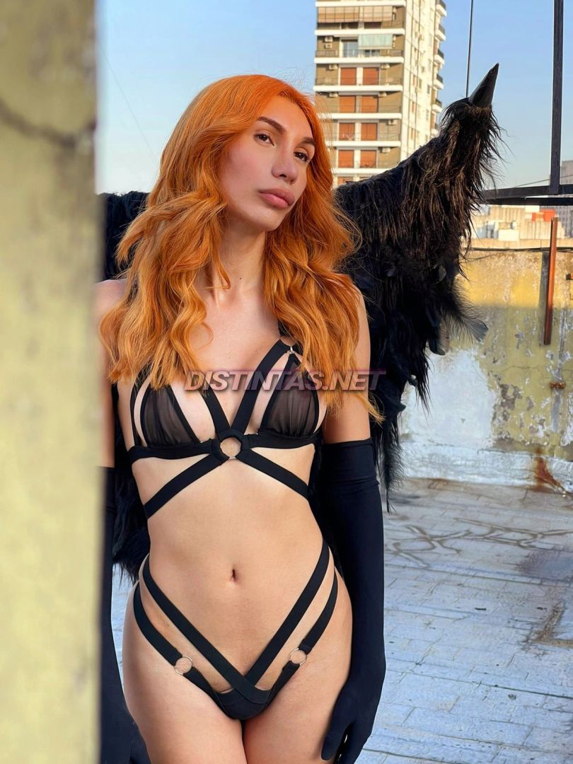 Luz C