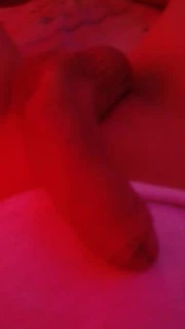 Cecilia Hot