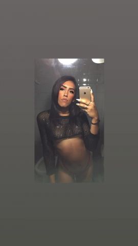 Tammy PY