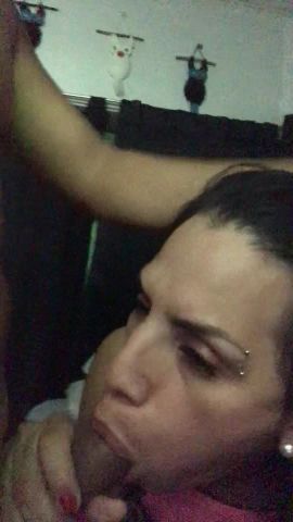 Berenice 