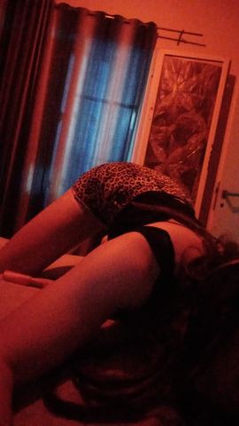 Cata Divina